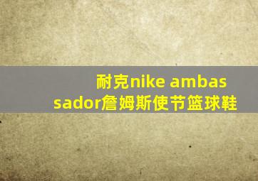 耐克nike ambassador詹姆斯使节篮球鞋